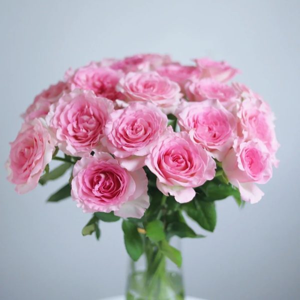 Roses